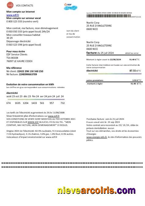 France EDF proof of address business utility bill